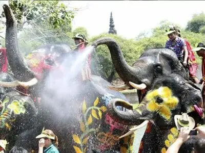 Sabai Sabai