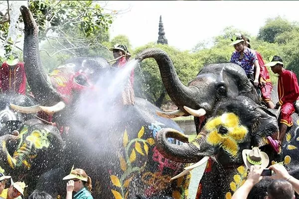 Sabai Sabai
